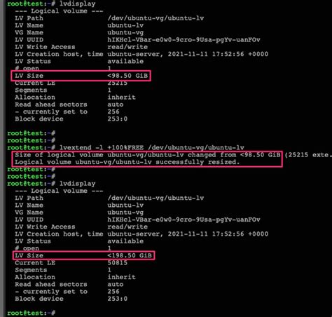 ubuntu lv size change